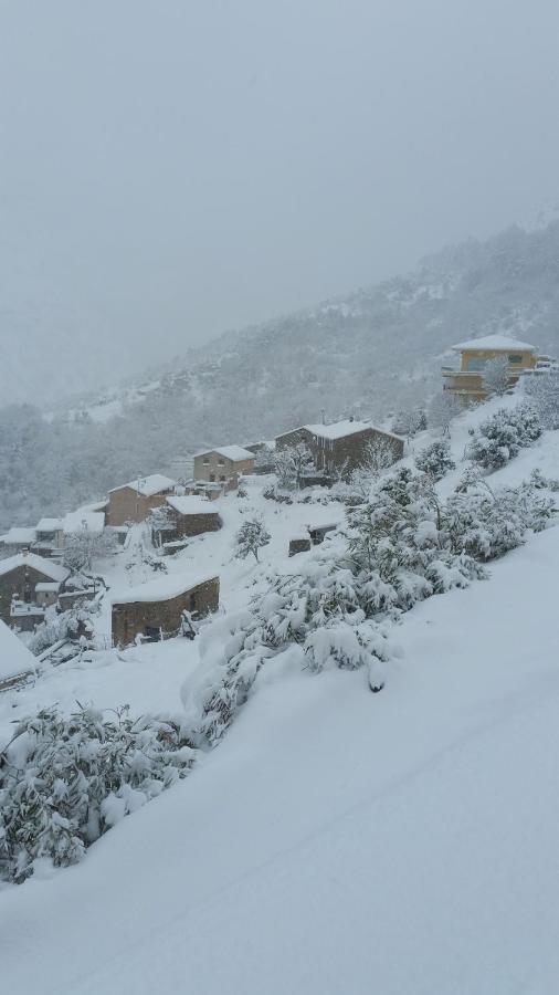 Résidence E CIME Asco Exterior foto