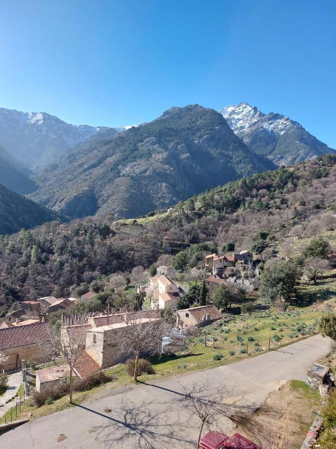 Résidence E CIME Asco Exterior foto