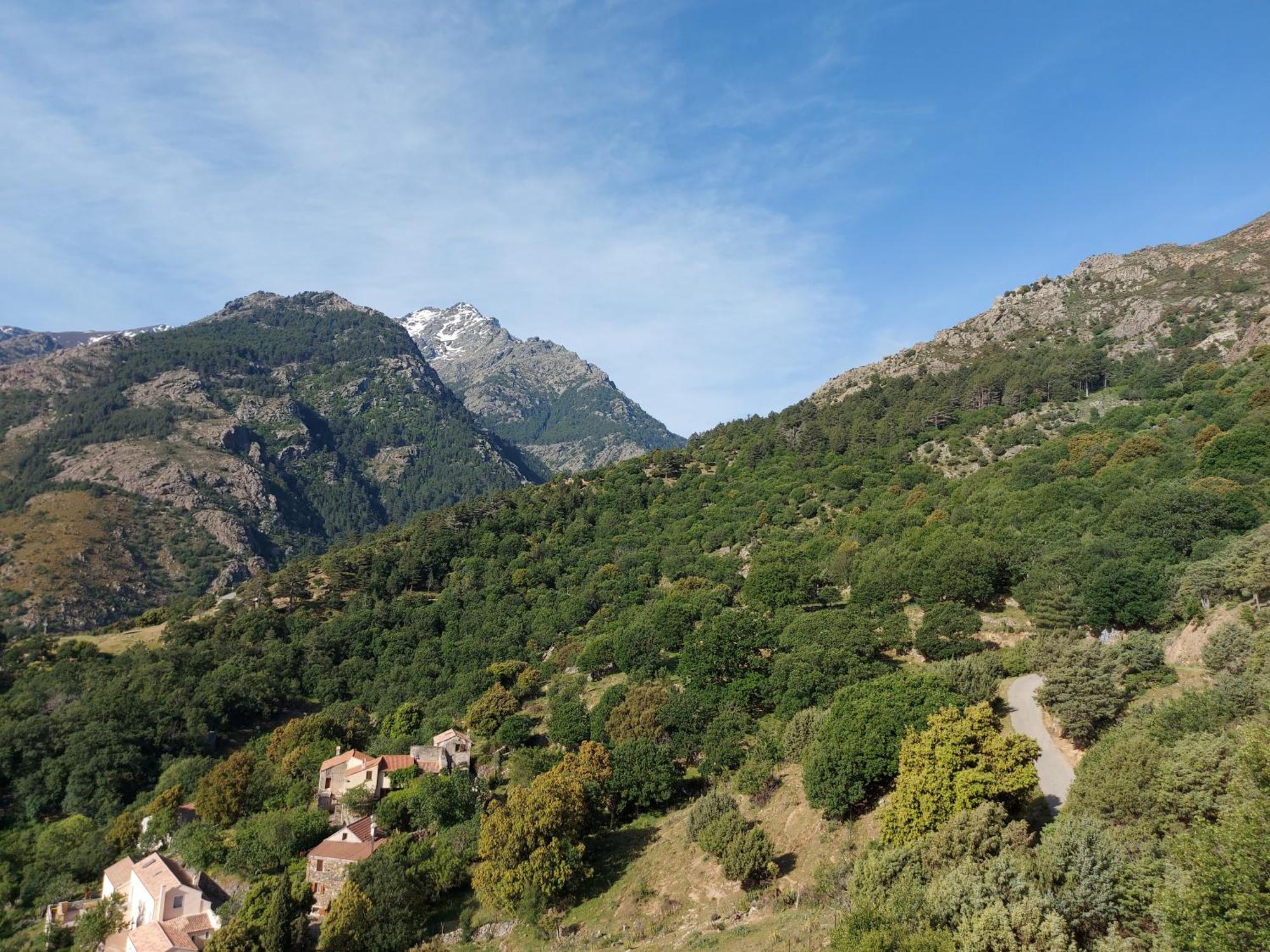 Résidence E CIME Asco Exterior foto
