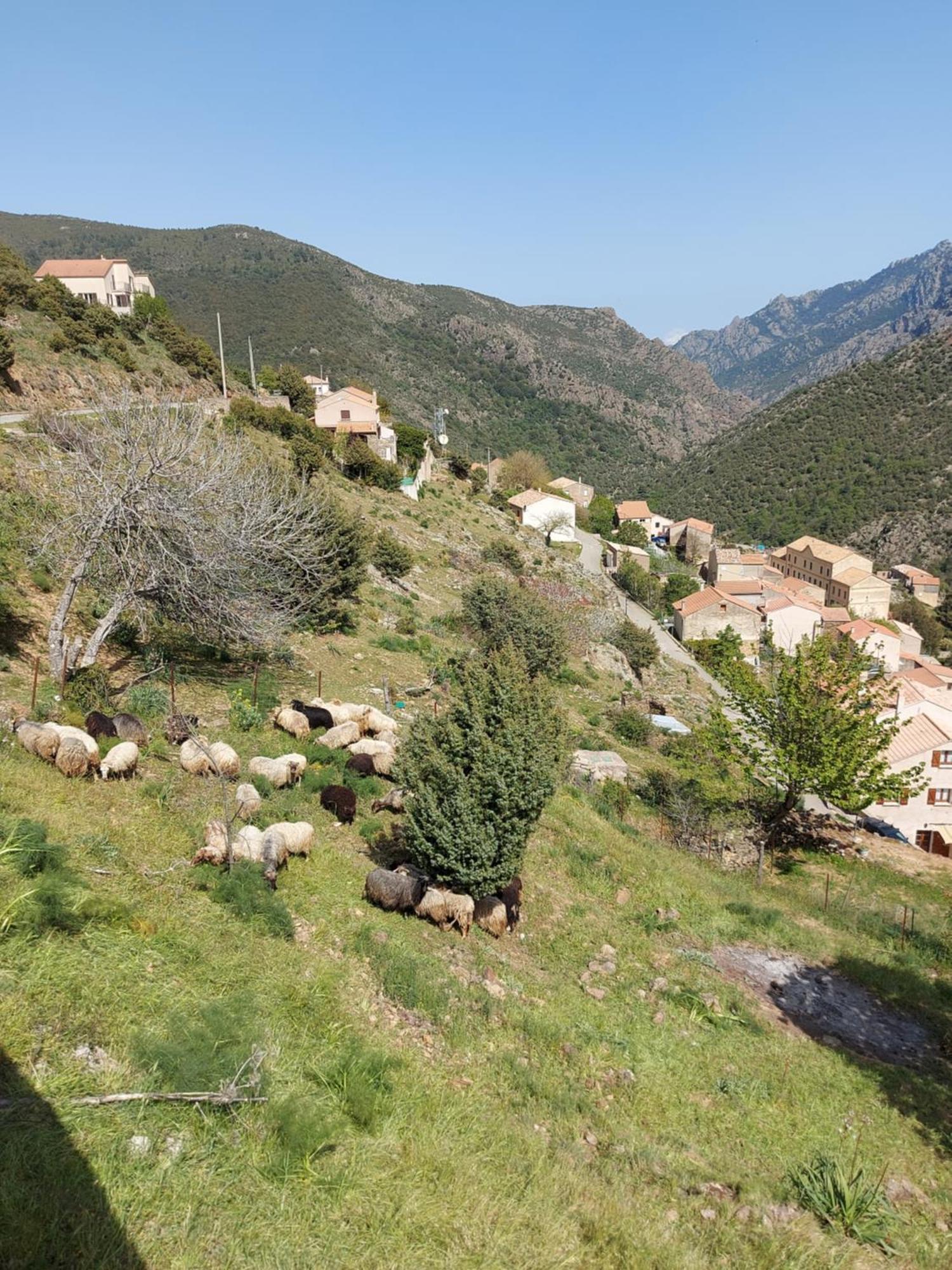 Résidence E CIME Asco Exterior foto